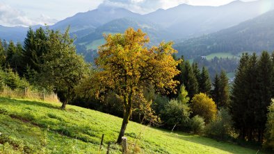 Herbstimpressionen_TVB_Wildschoenau_Dabernig_10_20