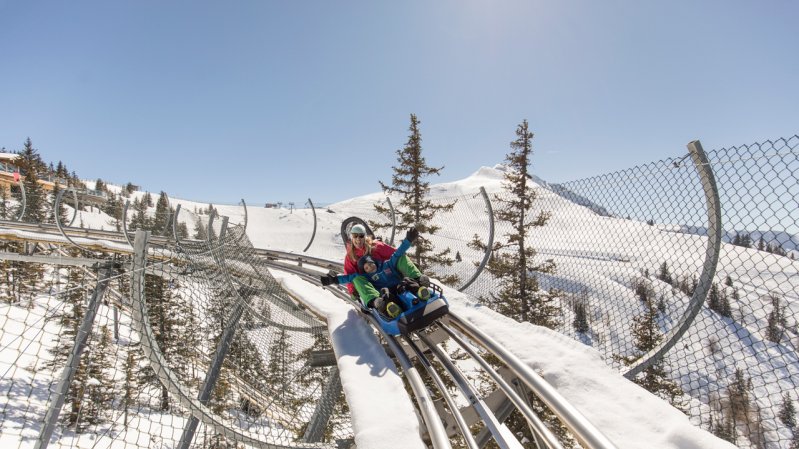 “Lauser Sauser” Alpine Coaster, © Ski Juwel Alpbachtal Wildschönau