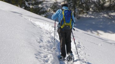 Taubensee Lake - Pittenharter Kreuz Snowshoe, © Foto Athesia Tappeiner