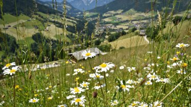 Alpbach_oberer Höhenweg, © Gabriele Grießenböck