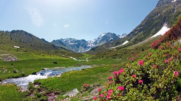 Near the Fundusalm hut below the Wenderkogel mountain, © Ötztal Tourismus / Isidor Nösig