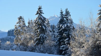 Kitzbüheler Horn Winter