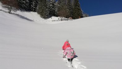 Tradlhof/Thierbach/Wildschönau/Tirol