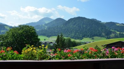 Blumen am Balkon