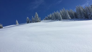 Alpbachtraum_Alpbachtal_Abfahrt Schatzberg