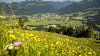 Kaiserwinkl_Schöne Aussicht_Sommer