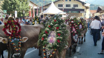 https://images.seekda.net/AT_UAB7-09-40-01/Almabtrieb_Zell_im_Zillertal.jpg