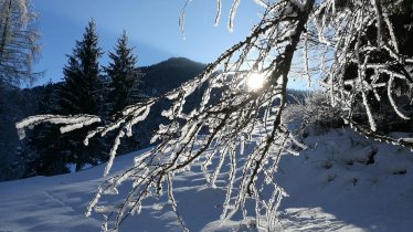 Winterwunderland in Walchsee