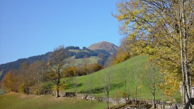 Blick auf die Hohe Salve Sommer