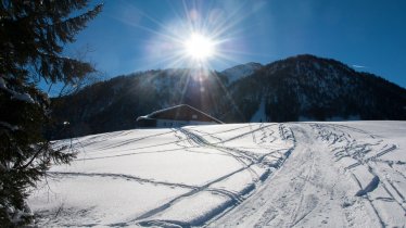 Tobogganing in Fieberbrunn, © Petra Astner