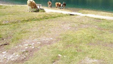 Ausflugziel Obersee Stallersattel