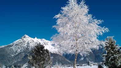 Winterlandschaft-Steinberge