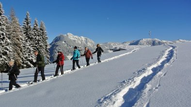 Schneeschuhwandern am Reither Kogel, © Alpbachtal Tourismus