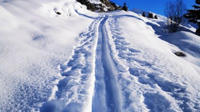 Nördlicher Klammer Schober über Mölsjoch