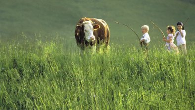 Kinder mit Kuh (c) Archiv TVB Kitzbüheler Alpen