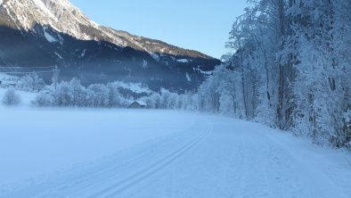 Loipe_Haus_Bergfriede