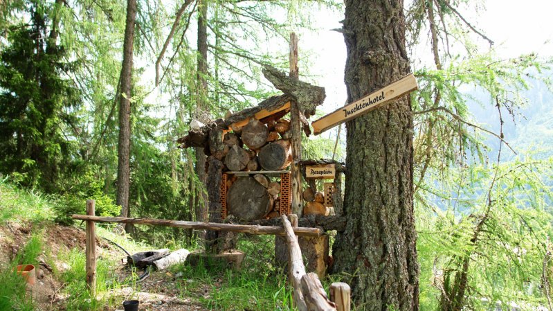 Senn's Wonder Walking Trail: The Insect Hotel Habitat, © Sennhütte