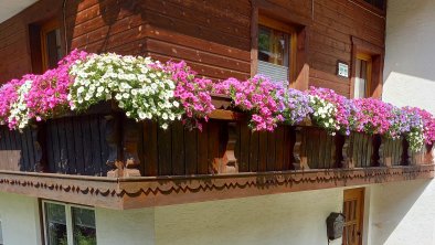 Blumen gehören zum Haus