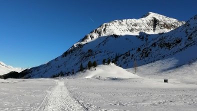 Winter Walk