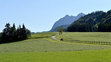 Ausblick vom Ellmererhof Richtung Wilder Kaiser