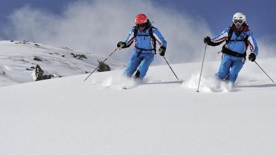 ski1