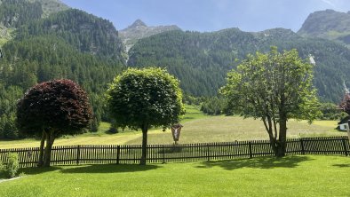 Aussicht Garten Sommer