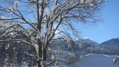 Wintertraum, © Apartment Hochpustertal