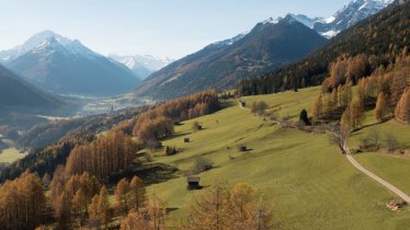 Telfer Wiesen Larch Meadows, © W9 Studios