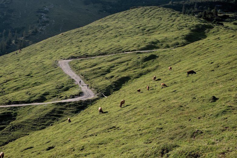 Rocky and steep &ndash; the climb to the Plumsjoch ridge in the Karwendel Mountains offers perfect conditions for gravel bikes.
