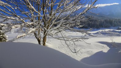 Villa Aigner -  Cross-country ski trail at the house