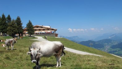 Schatzberg Auffach (5)