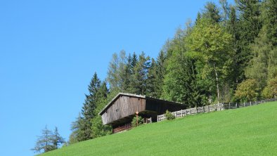 Thierbach Heustadl Sommer FG T.L. Rechte Wildschön