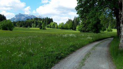 Aussicht auf den Zahmen Kaiser