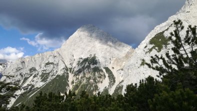 Blick aus den Ferienwohnungen