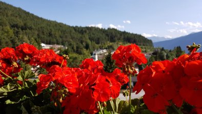 Gästehaus Edelweiss Reith bei Seefeld Aussicht