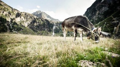 TVB_Stubai_Tirol_Andre_Schoenherr_landscape4_print