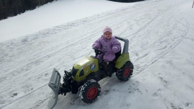 Brandterhof_Brandenberg_Alpbachtal_Kinder im Einsa