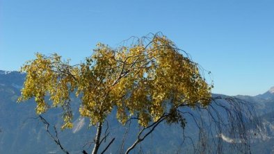 Herbst, © ausbergerhof / Gästehaus Ainberger