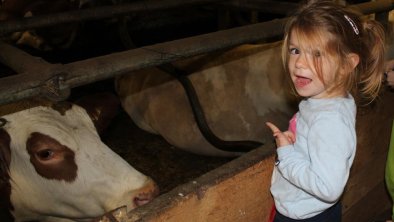 Besuch im Stall, © Alois Schmid