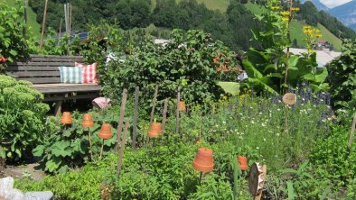 frische Kräuter vom Garten holen