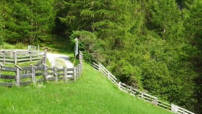 Einstieg Wanderweg