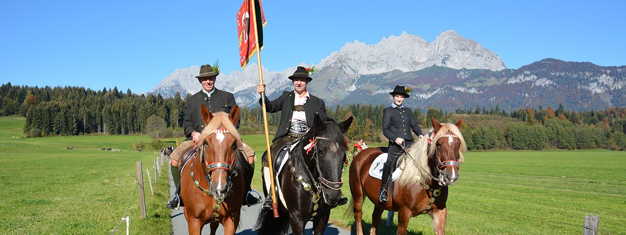 Noriker Horses and Wilder Kaiser Mountain Range - St Leonard's Ride in Oberndorf in Tirol, © Monika Pletzer