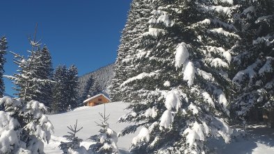 Umgebung Winter 1