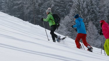 Snowshoe Walk along Speckbacher Trail, © Region Hall-Wattens