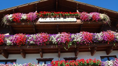 Gästehaus Edelweiss Reith bei Seefels Sommer