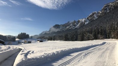 cross country skiing Berghof Haselsberger, © by Moni