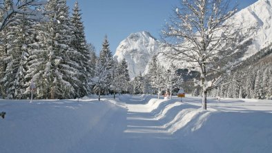 in der Nähe - Winterwanderweg Richtung Falzturntal, © Appartements Fortuna