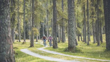 Mountain biking in the Tiroler Zugspitz Arena, © Tiroler Zugspitz Arena/C. Jorda