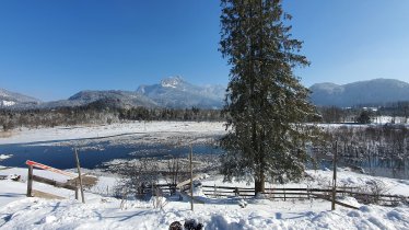 Winter - Panorama