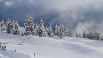 Winter in the mountain